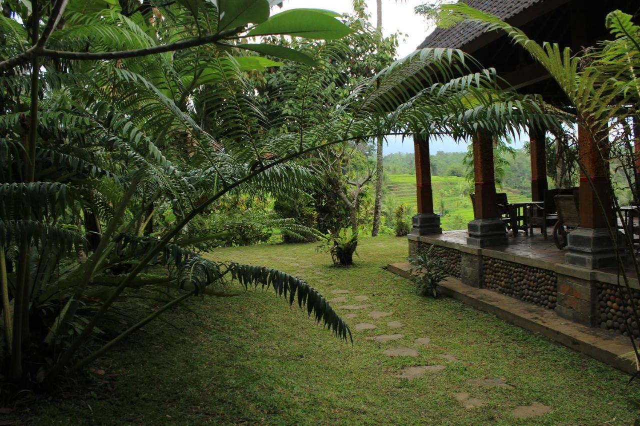 Saridevi Ecolodge Jatiluwih Kültér fotó